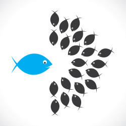 SpotOn! Profile for Franchise Companies. Zoracle Profiles, Zoracle, SpotOn! Profile, SpotOn! Franchisee Selection, Franchise Recruitment, Franchisee Performance