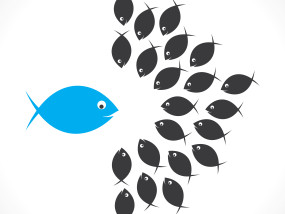 SpotOn! Profile for Franchise Companies. Zoracle Profiles, Zoracle, SpotOn! Profile, SpotOn! Franchisee Selection, Franchise Recruitment, Franchisee Performance