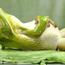 Is Your Franchisee Commitment Phobic?