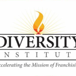 Diversity Institute