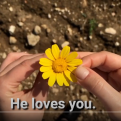 Get Real. He loves you. He loves you not.