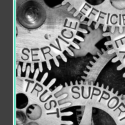 The Plug and Play Franchise System